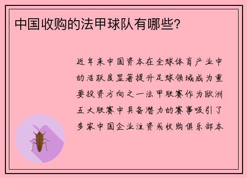 中国收购的法甲球队有哪些？
