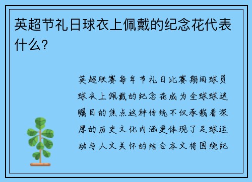 英超节礼日球衣上佩戴的纪念花代表什么？